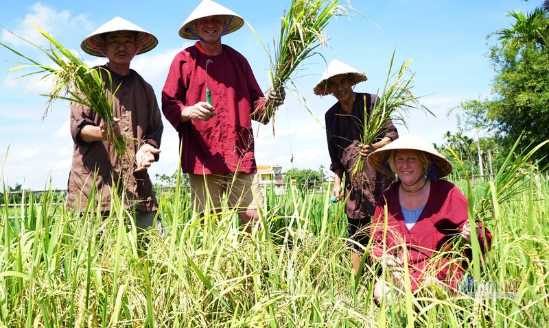 Ru Tay ra dong cuoi trau, dam bun phoi nang... dan Hoi An thu tien do-Hinh-12