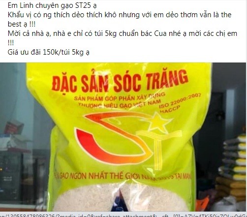 Gao ST25: Tran lan cho mang, loan gia... mua sao chuan?