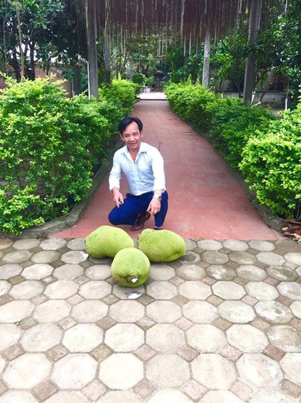 Nha vuon hon 1.000 m2 trong cay, nuoi ga cua nghe si Quang Teo-Hinh-7