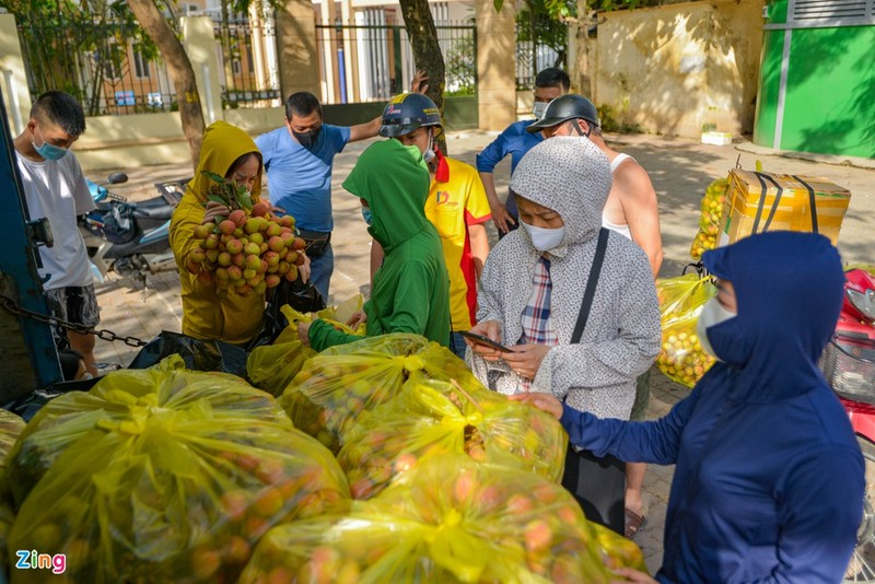 Giai cuu vai thieu Bac Giang voi gia 20.000 dong/kg o Ha Noi-Hinh-4