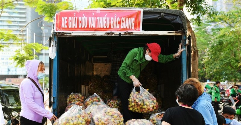 Hoa qua dac san vao mua gia mem o Ha Noi hut khach giua dai dich-Hinh-2