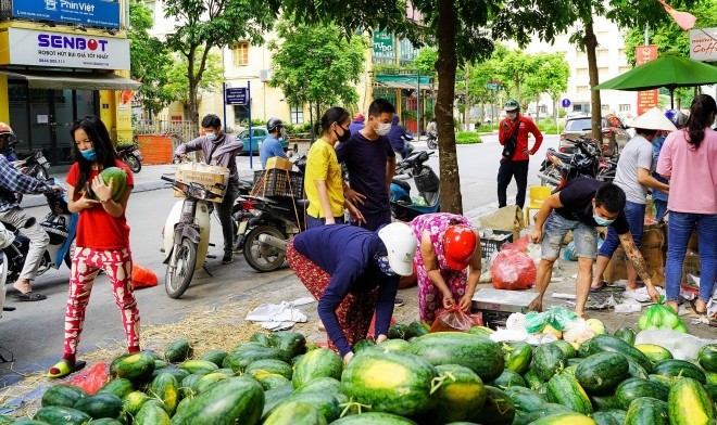 Hoa qua dac san vao mua gia mem o Ha Noi hut khach giua dai dich-Hinh-5