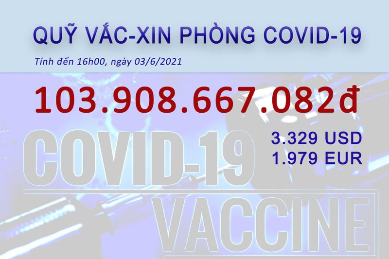 Da quyen gop duoc gan 104 ty dong mua vaccine COVID-19-Hinh-2