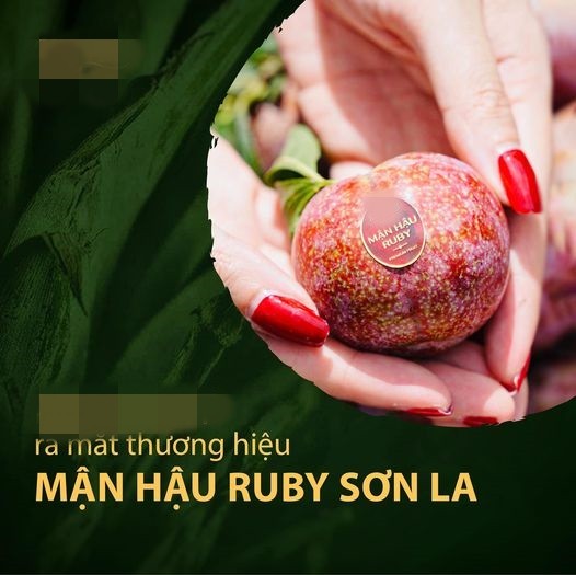 Man hau Ruby Son La vua ra mat ngon dac biet the nao?-Hinh-2