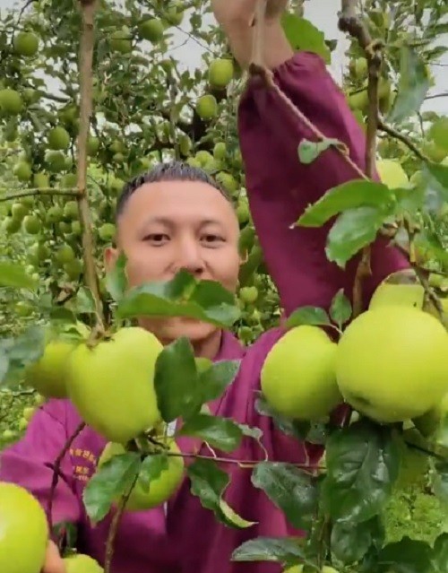 Choang vang cay ra qua “vo ke hoach” nhung ai cung muon so huu-Hinh-2