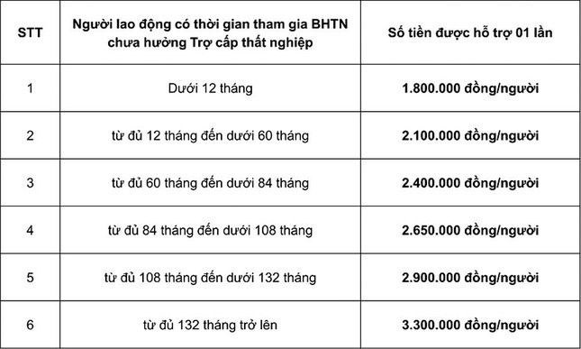 Nguoi lao dong can lam gi de nhan duoc ho tro tu goi 38 nghin ty dong?-Hinh-2