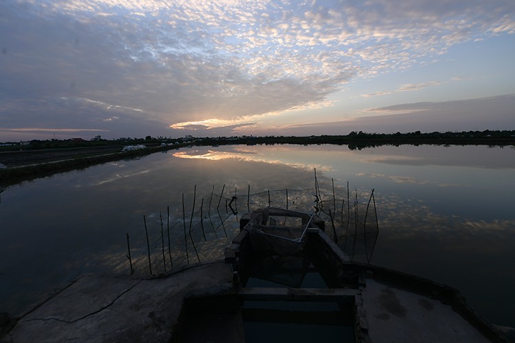 Can canh nguoi dan chong den 