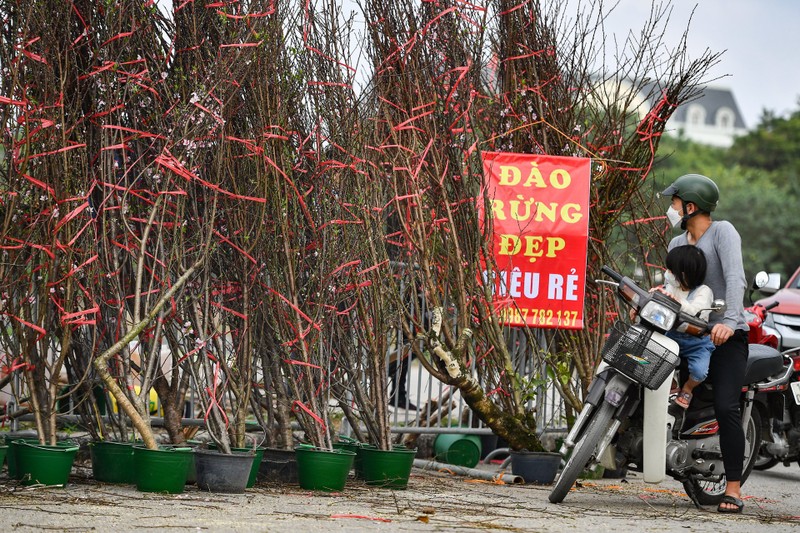 Dao, mai, quat treo bang ban thao dong gia ngay can Tet-Hinh-5