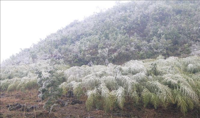 Cao Bang: Bang gia bao phu day dac tren dinh Ca Dam-Hinh-2