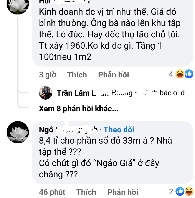 Choang: Can ho tap the cu tang 1 duoc rao ban 8,4 ty dong-Hinh-2