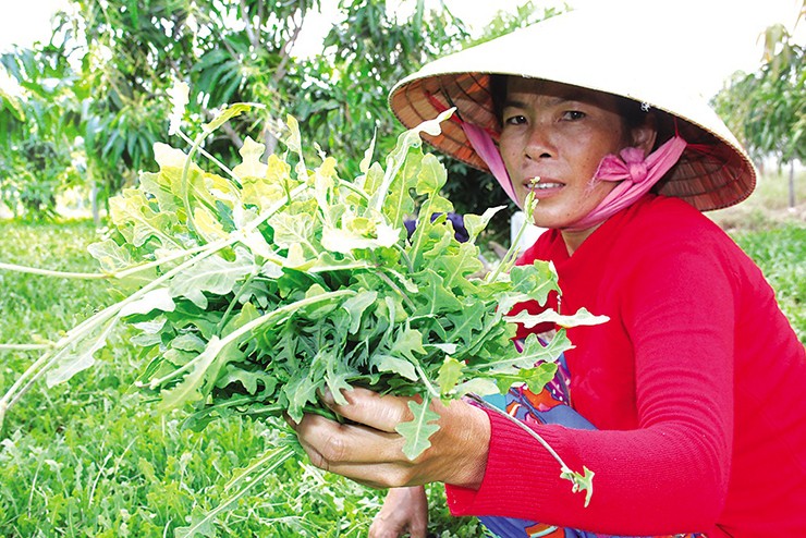 “Loc troi” xua vut di, nay dem ve trong khong can cham van co tien trieu-Hinh-2