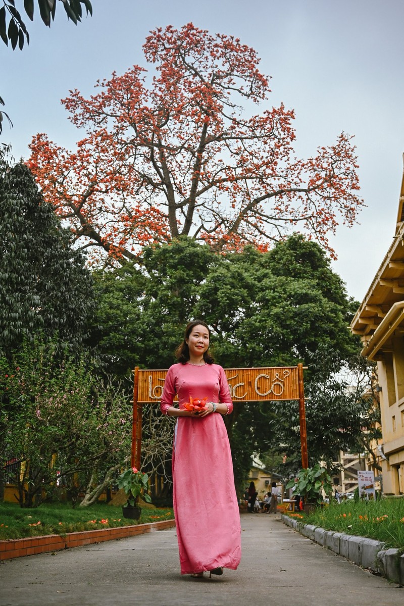 Cay hoa gao lon o Ha Noi bung no thu hut gioi tre-Hinh-10