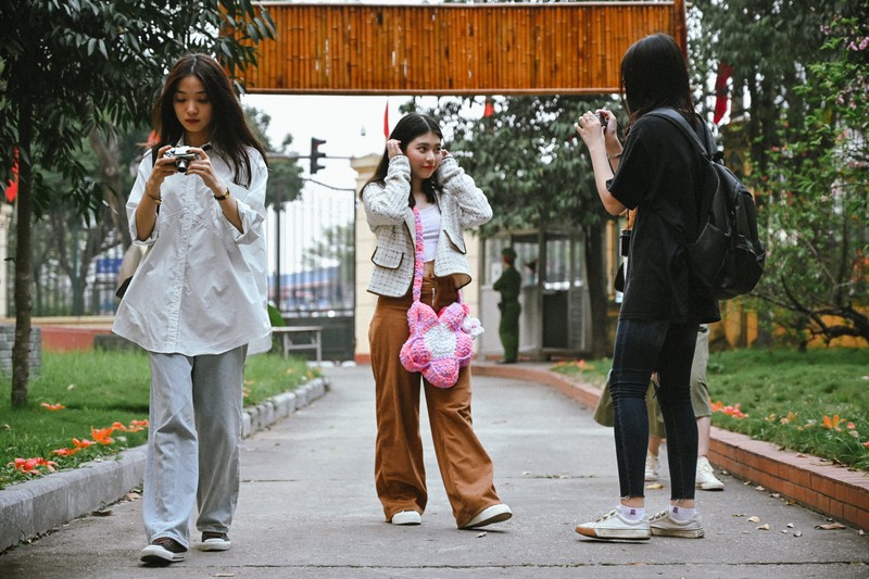 Cay hoa gao lon o Ha Noi bung no thu hut gioi tre-Hinh-8