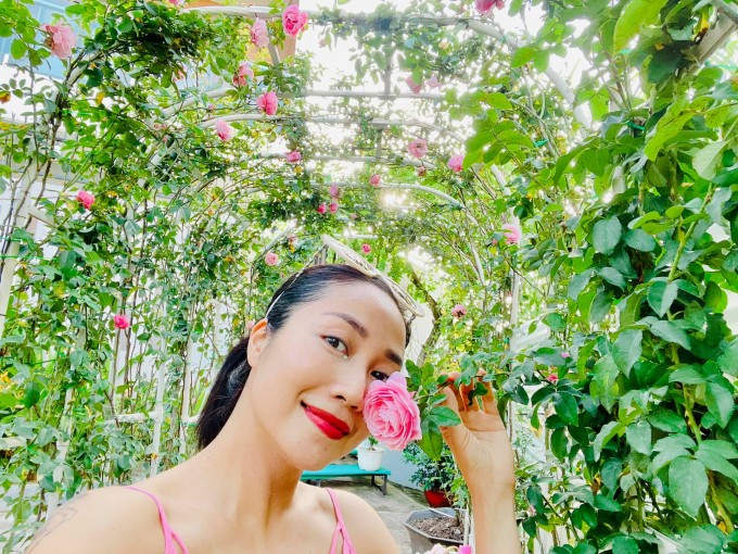 Khu vuon toan hoa hong quy trong biet thu cua Oc Thanh Van-Hinh-5