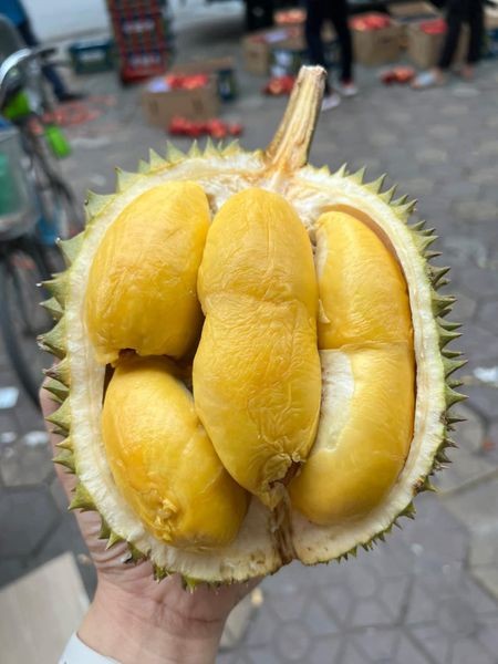 Sau rieng Musang King 3 trieu dong/qua ngon co nao?-Hinh-9