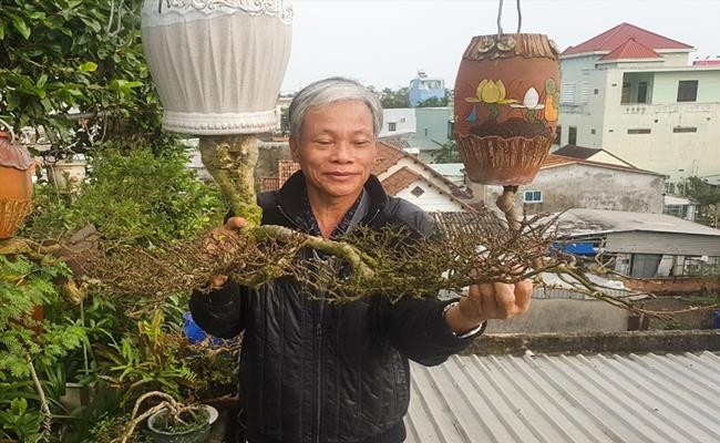 Bo suu tap bonsai la dinh dam o Viet Nam dac biet co nao?-Hinh-3