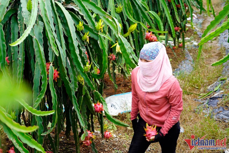 Du bao thoi tiet ngay 18/6: Nang nong gay gat, co noi 39 do