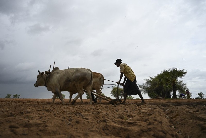 Myanmar: Tu vua lua mau mo den nhung ngoi lang vang nguoi tre tuoi