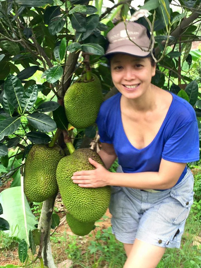 Nha vuon bat ngan cay trai cua nghe si Chieu Xuan o ngoai thanh Ha Noi-Hinh-10