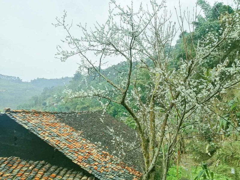 Kien truc dac biet trong ngoi lang co tram tuoi “bi lang quen” o Ha Giang-Hinh-10