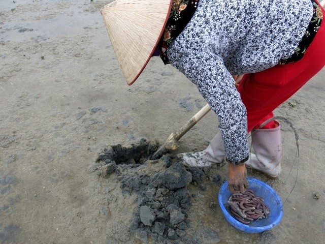 Tan muc qua trinh khai thac dac san tien vua “dat nhu vang”-Hinh-7