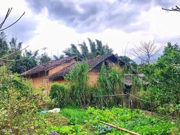 Say dam ve moc mac o ngoi lang co tram tuoi o Ha Giang-Hinh-3