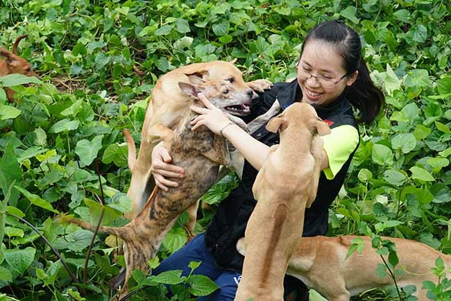 Can canh trang trai cho Phu Quoc bac ty cua 8X Ha thanh