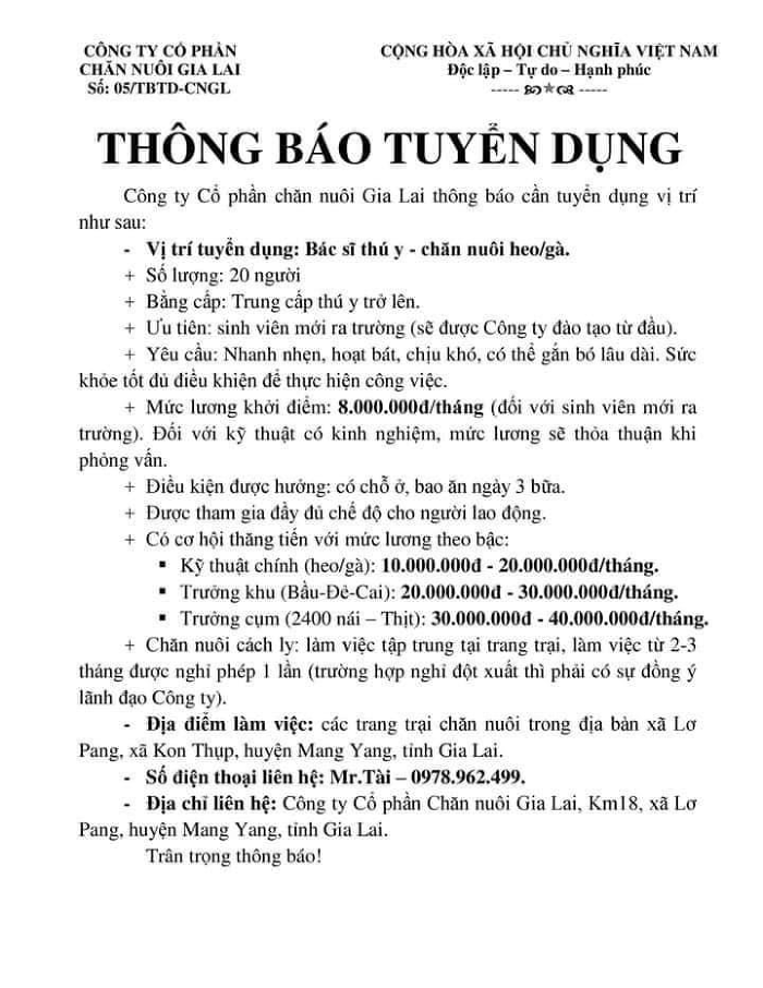 Dai gia Viet vung tien tuyen nhan vien, lo luong 