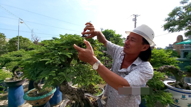 Chiem nguong loat bonsai tien ty cua “vua me” o mien Tay-Hinh-2