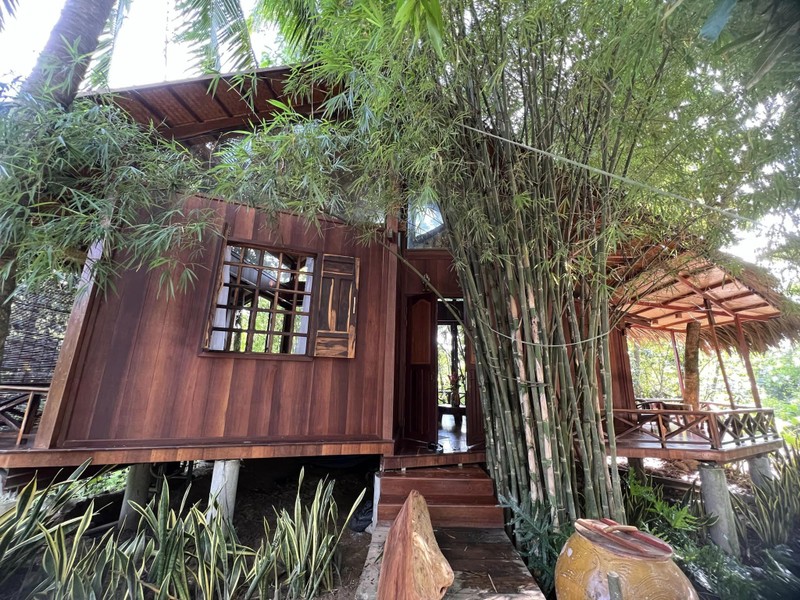 Can canh villa miet vuon cuc khung cua Van Trang-Hinh-6