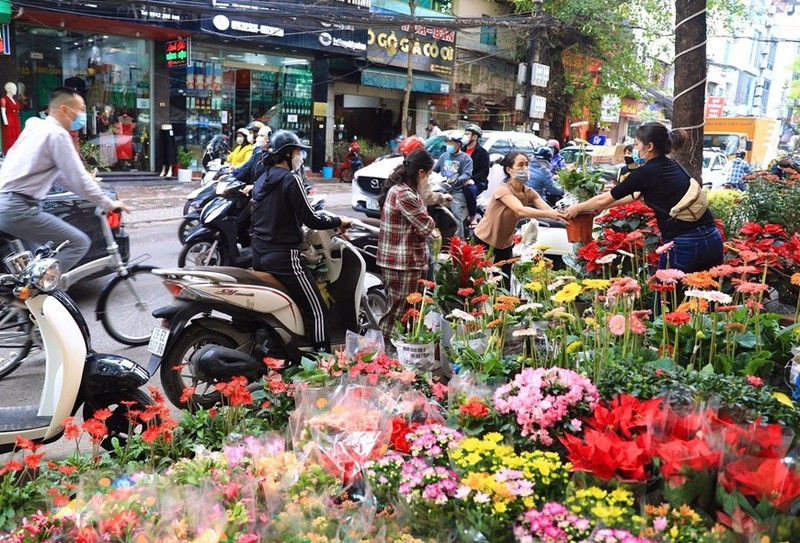 Diem danh 5 cho hoa Tet noi tieng o Ha Noi-Hinh-6