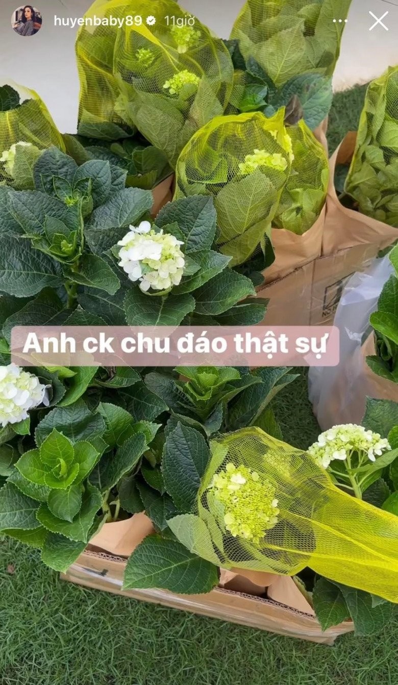 Can canh vuon hoa ngap sac mau trong biet thu cua Huyen Baby-Hinh-3