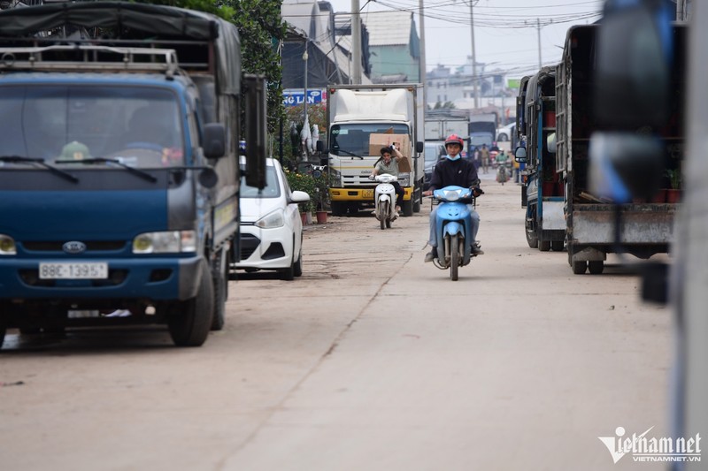 Thuong lai khap noi do ve cho cay lon nhat mien Bac-Hinh-2