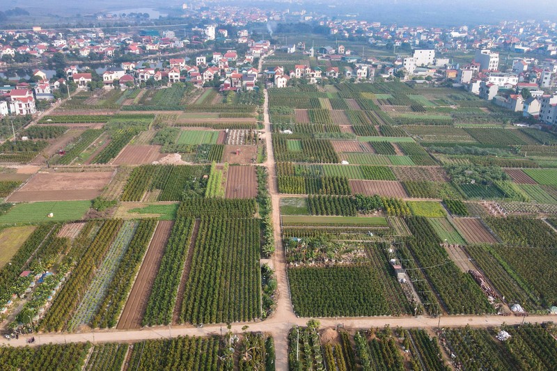 Quyt loc binh khong lo dat hang ngay can Tet