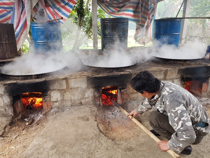 Thu phu mat mia do lua ngay dem phuc vu Tet Nguyen dan