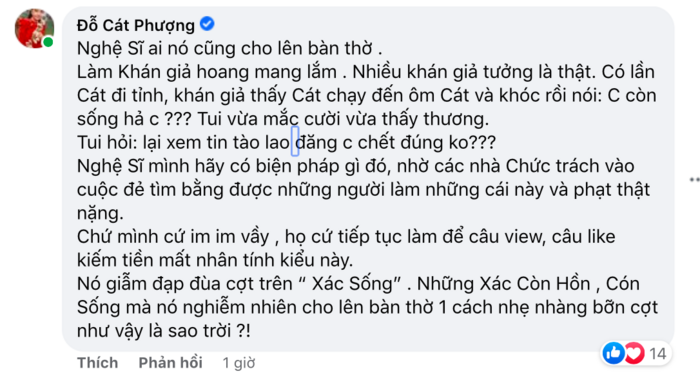 Cat Phuong chi trich anti-fan: 