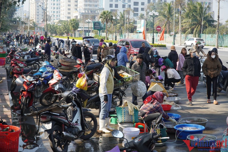 Ca khoai hon nua trieu dong mot kg, nguoi dan tranh nhau mua-Hinh-12