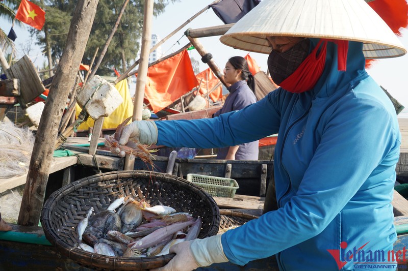 Ca khoai hon nua trieu dong mot kg, nguoi dan tranh nhau mua-Hinh-2