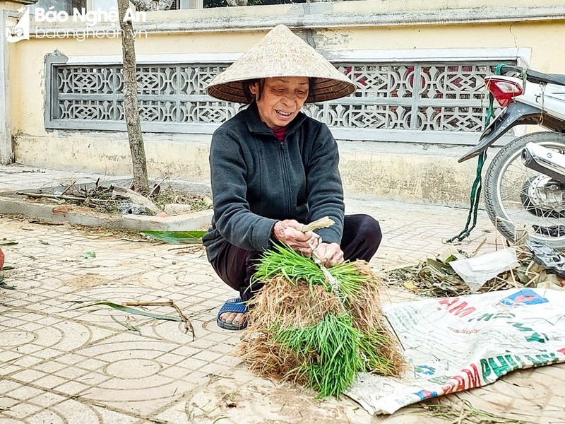 Phien cho lua non “vua hop da tan” co 1-0-2 o Viet Nam-Hinh-6