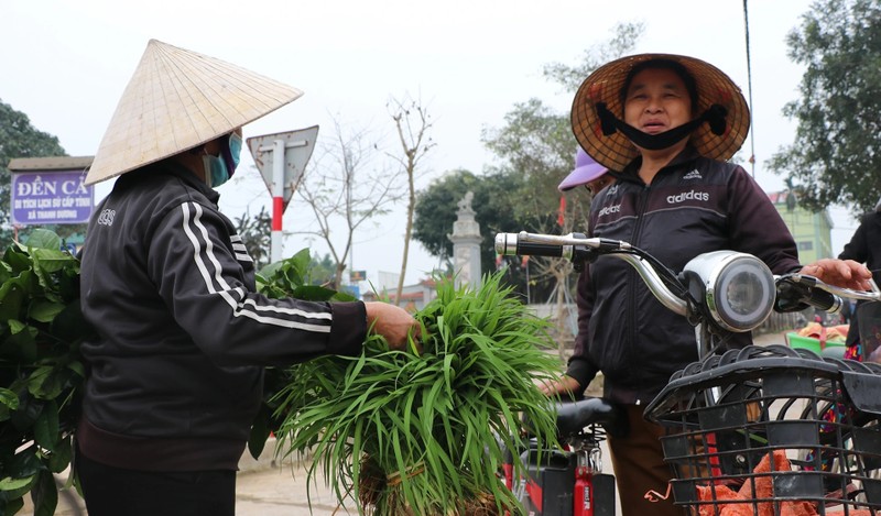 Phien cho lua non “vua hop da tan” co 1-0-2 o Viet Nam-Hinh-8