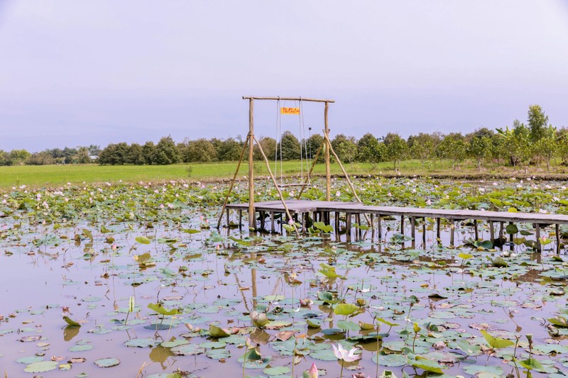 Lac loi trong “khu sinh thai” rong hon 10.000m2 cua dai gia Can Tho-Hinh-4