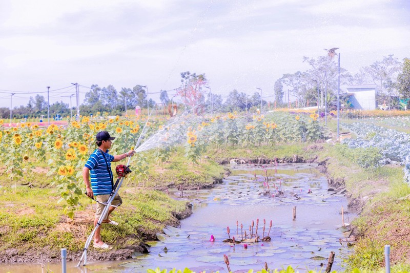 Lac loi trong “khu sinh thai” rong hon 10.000m2 cua dai gia Can Tho-Hinh-5