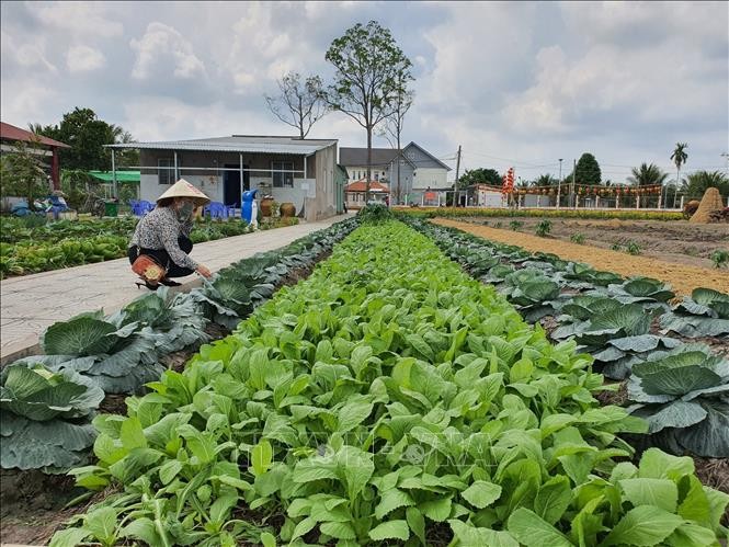 Lac loi trong “khu sinh thai” rong hon 10.000m2 cua dai gia Can Tho-Hinh-9