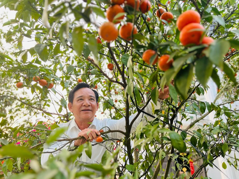 Khoi tai san kech xu cua nghe si Quang Teo sau 40 nam “cay cuoc“-Hinh-5