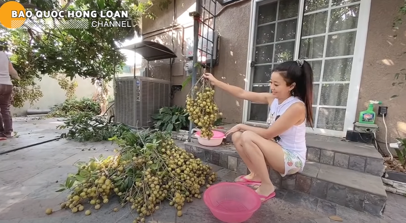 Khu vuon “di moi chan” ngap cay trai cua NSUT Bao Quoc tai My-Hinh-6