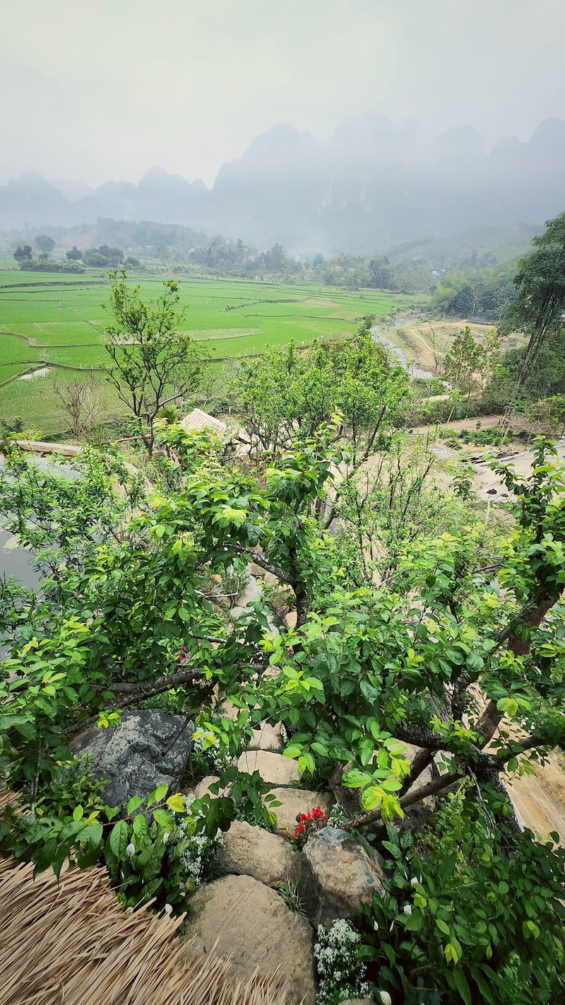 Ngoi nha tai che tu do cu, sap dat day tinh nghe thuat-Hinh-2