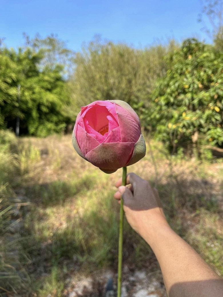 Bên trong trang trại đẹp như tranh vẽ của BTV Thu Uyên - Hình 6 Ben trong trang trai dep nhu tranh ve cua BTV Thu Uyen-Hinh-6