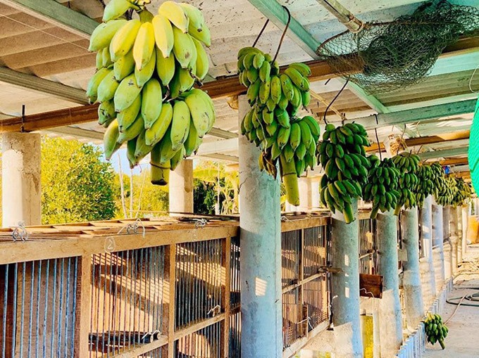 Khối tài sản “không phải dạng vừa” của Quách Ngọc Ngoan trước vỡ nợ - Hình 5 Khoi tai san “khong phai dang vua” cua Quach Ngoc Ngoan truoc vo no-Hinh-5