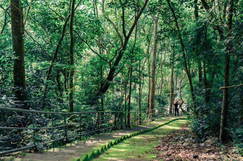 Diem den thien nhien tranh dong duc tren nui Dinh-Hinh-3