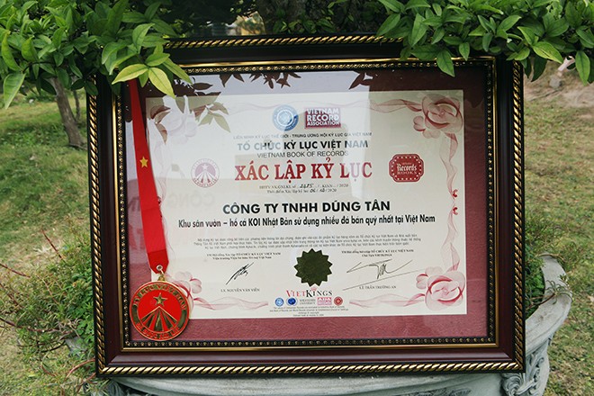 Mê mẩn hồ cá Koi 20 tỷ độc nhất vô nhị của đại gia Thái Nguyên - Hình 4 Me man ho ca Koi 20 ty doc nhat vo nhi cua dai gia Thai Nguyen-Hinh-4